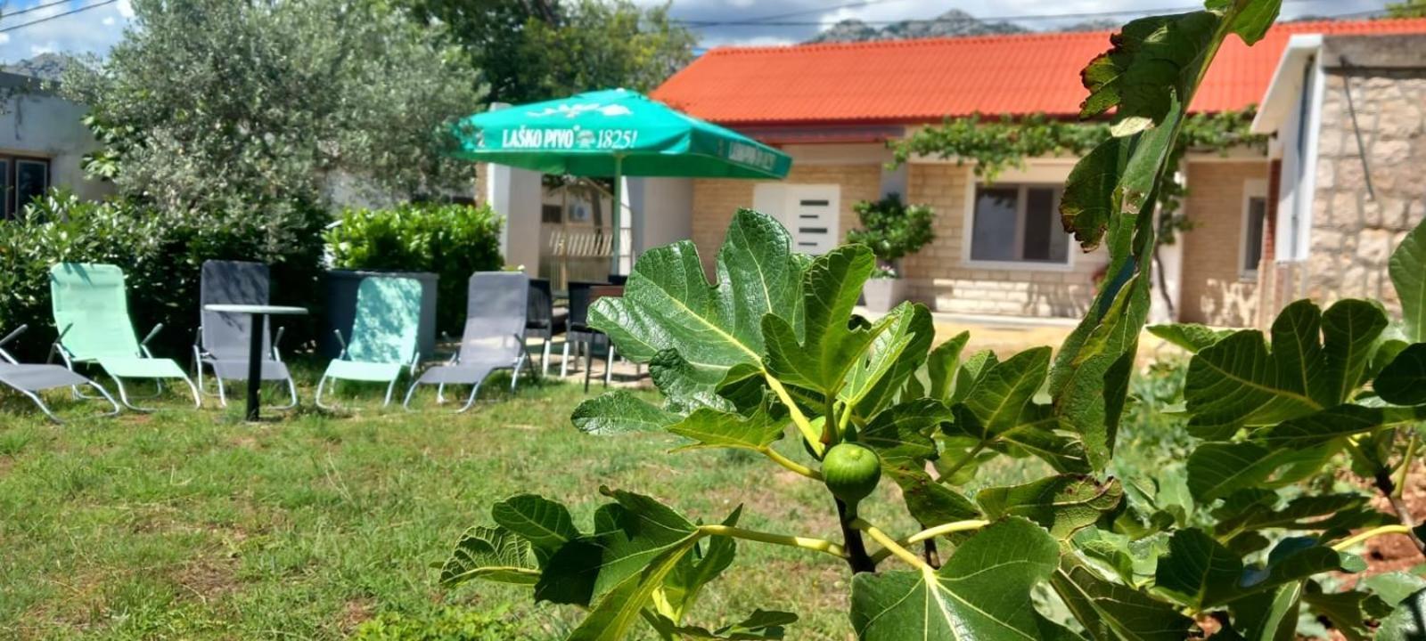 Holiday Home Zeljko,Marija & Jakov Starigrad Paklenica Exteriér fotografie
